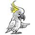 Polly