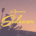 Agencia Sidecar